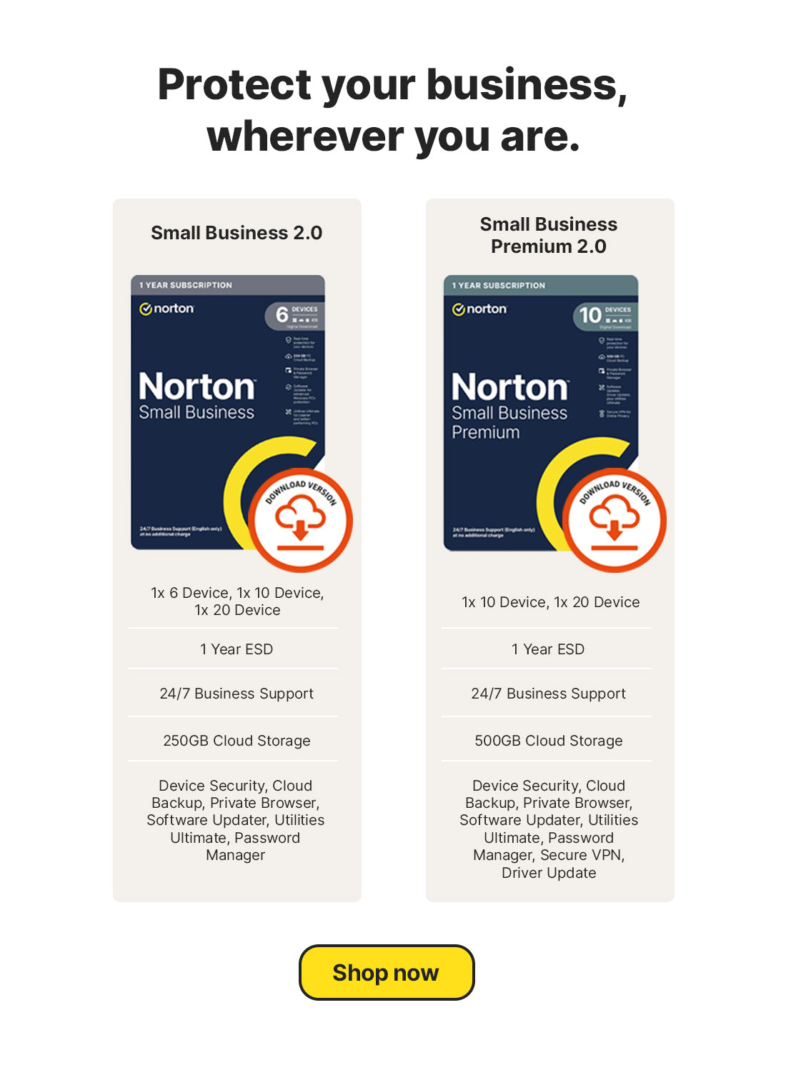 Norton Small Business SKUs