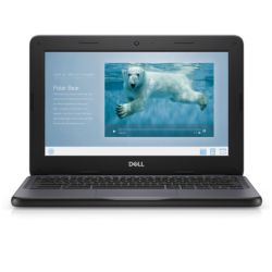 Dell Chromebook 3100,  11.6